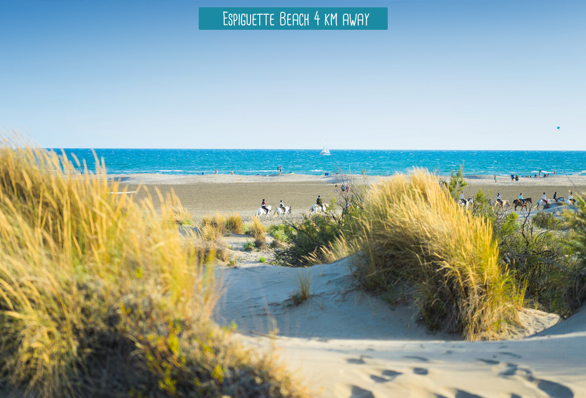 plage_espiguette_elysee-uk-45322034.jpg