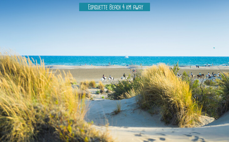 plage_espiguette_elysee-uk-45322034.jpg